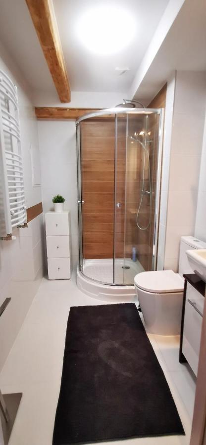 Klimatyczny Apartament Nr 8 Z Widokiem Na Gory Sowie 别拉瓦 外观 照片