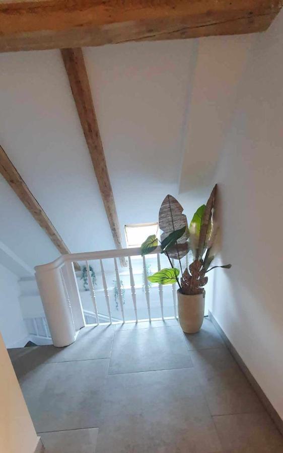 Klimatyczny Apartament Nr 8 Z Widokiem Na Gory Sowie 别拉瓦 外观 照片