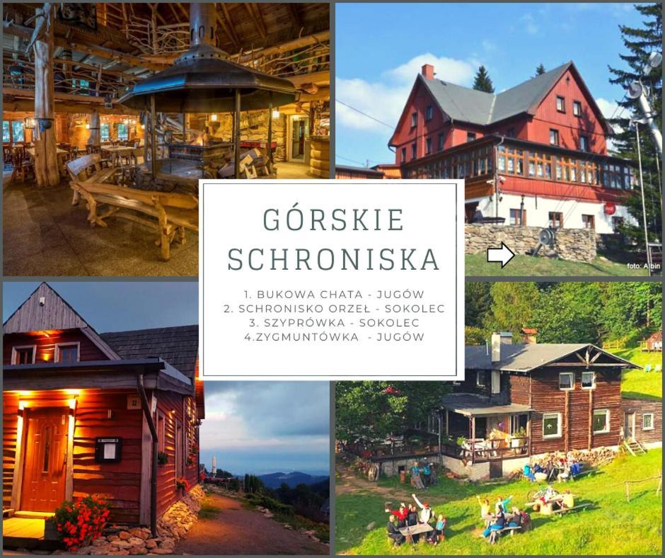 Klimatyczny Apartament Nr 8 Z Widokiem Na Gory Sowie 别拉瓦 外观 照片
