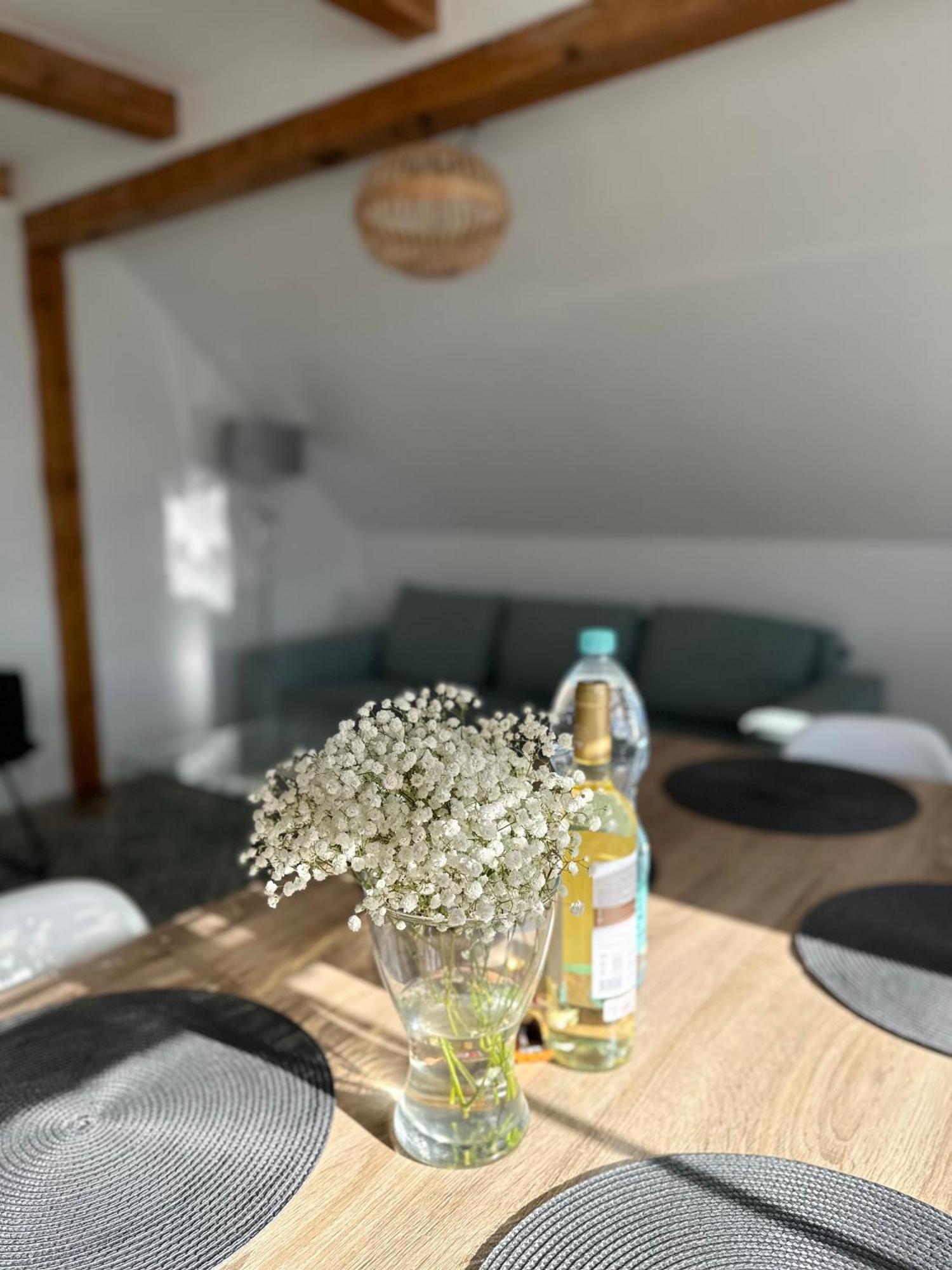 Klimatyczny Apartament Nr 8 Z Widokiem Na Gory Sowie 别拉瓦 外观 照片
